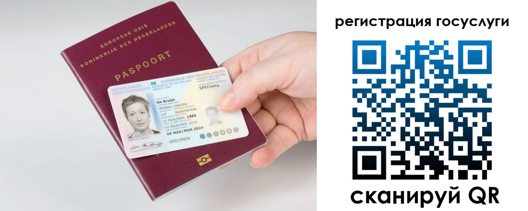 регистрация для дет. сада в Ростовской области